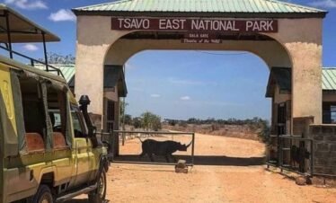 Tsavo East National Park Day Trip from Nairobi – Private 4×4 Safari